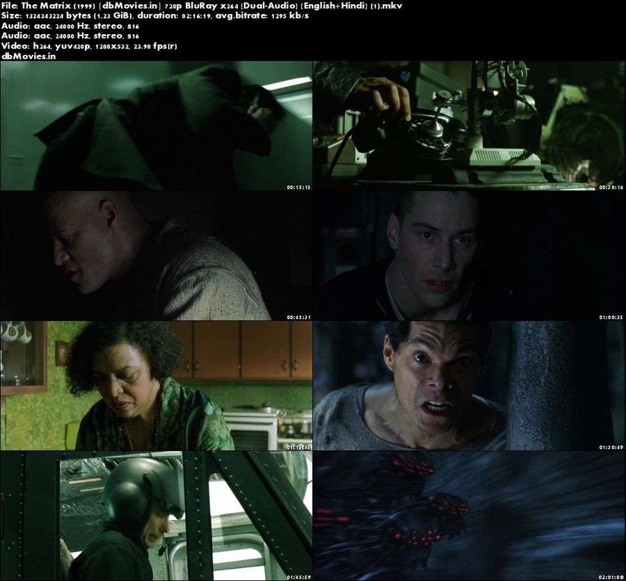 dual audio movies 720p torrent download